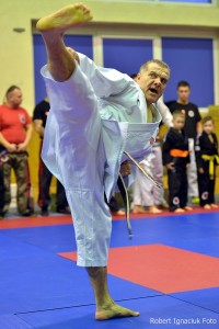 24 WOŚP - Festiwal Sztuk i Sportów Walki082 (Copy)