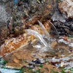 12970702_650241871818072_1407538267_o