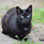 10398602_1703817713183327_5777008297463697779_n