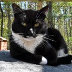 13139121_1760901444141620_614688056752206633_n