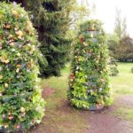 13230916_665958470246412_18