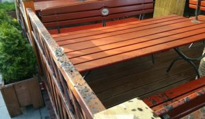 13321030_1032009656891674_1260294065_o