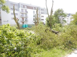 13493553_683314468510812_1800691143_o