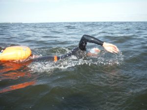 14125018_955247164598300_404779001709845385_o