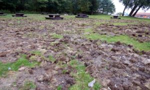 14803099_748652105310381_1311188873_o