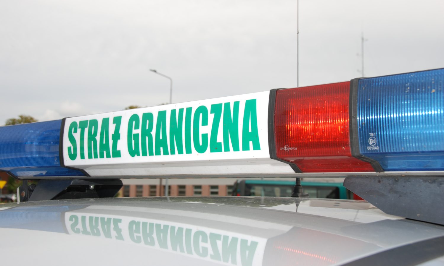 Kontrole Straży Granicznej. 21 cudzoziemców z naruszeniami przepisów