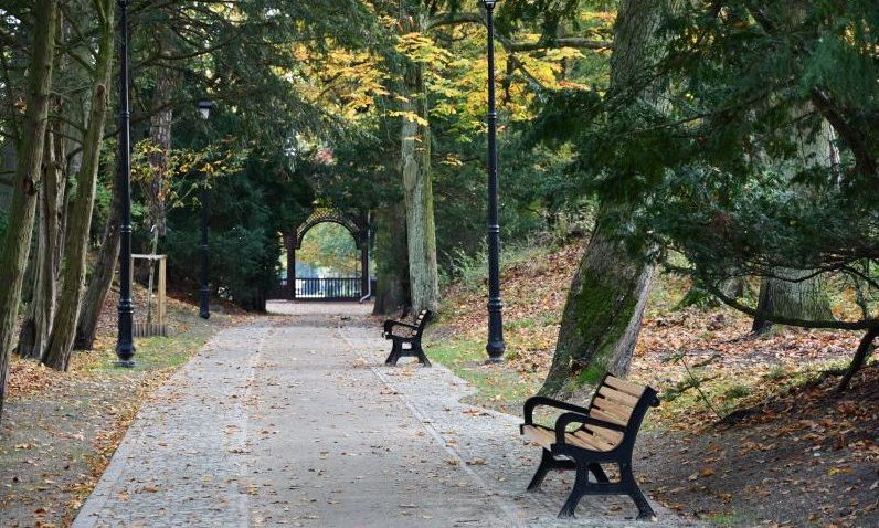 Wyniki Indeksu Zdrowych Miast 2025: Chorzów liderem przestrzeni miejskiej, Świnoujście i Siemianowice Śląskie tuż za nim