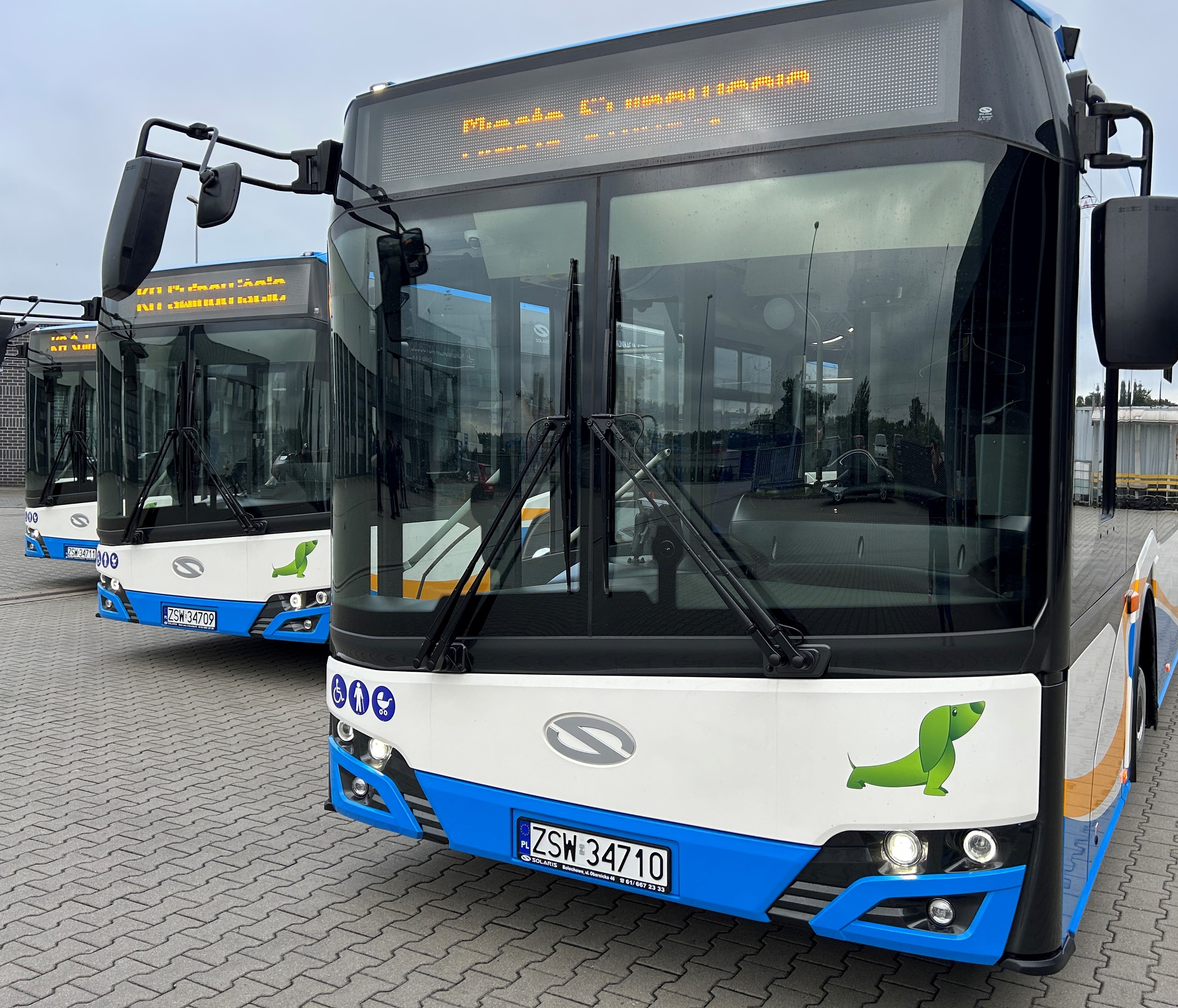 Komunikacja Autobusowa szuka nowego prezesa. Zgłoszenia do 28 września