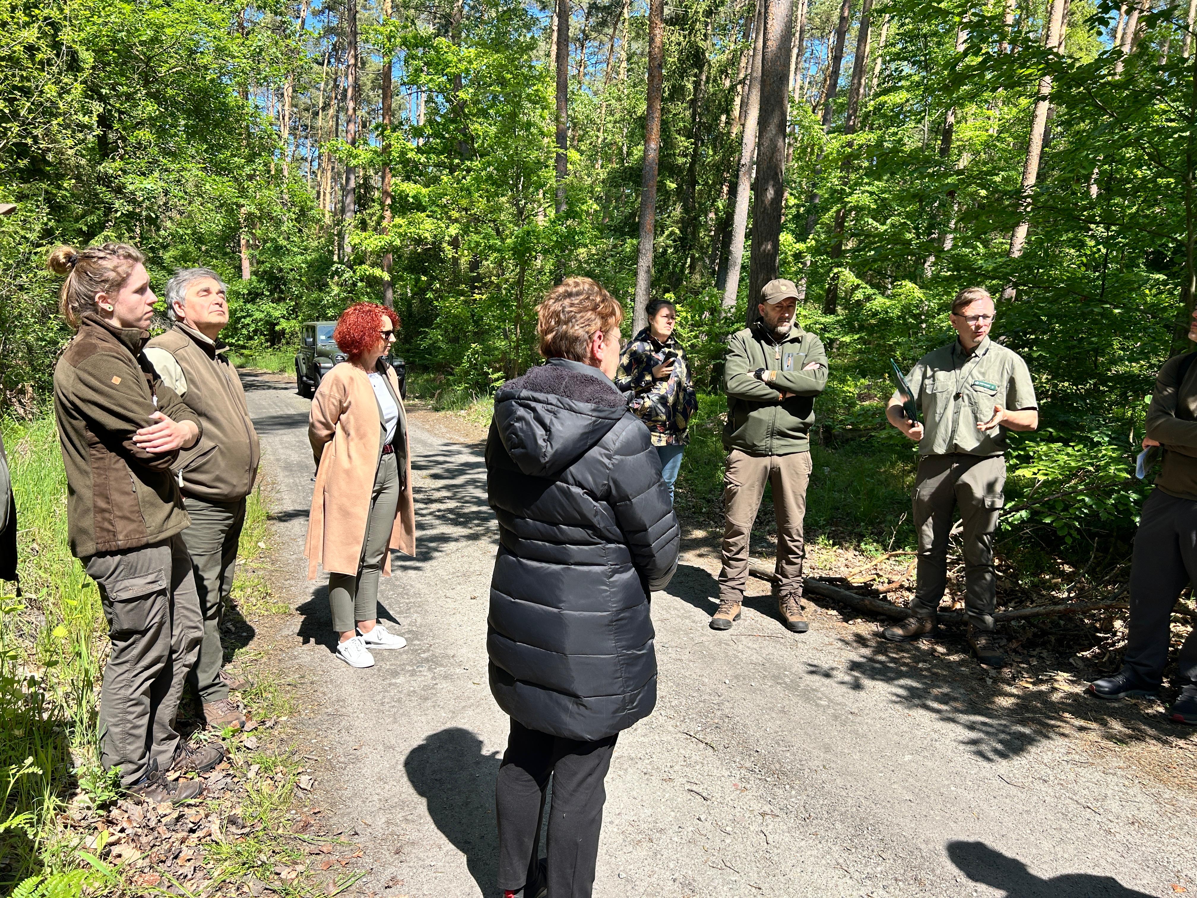 Samorząd Świnoujścia chce poznać plany Lasów Państwowych na kolejne 10 lat