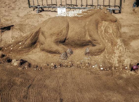 18 drużyn, 3 godziny i mnóstwo zabawy – Piacholepy rozdane