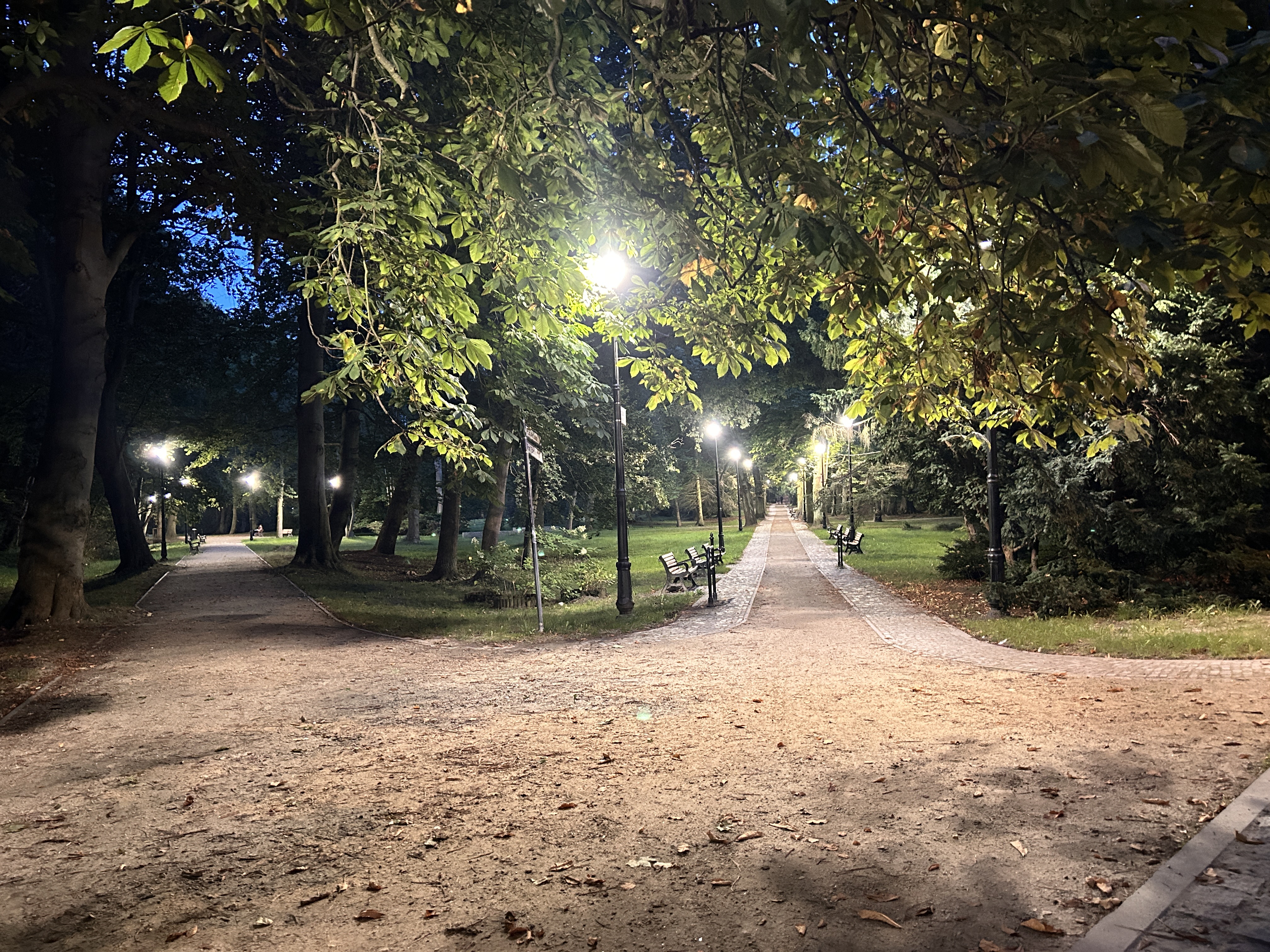 Prace konserwacyjne oświetlenia parkowego