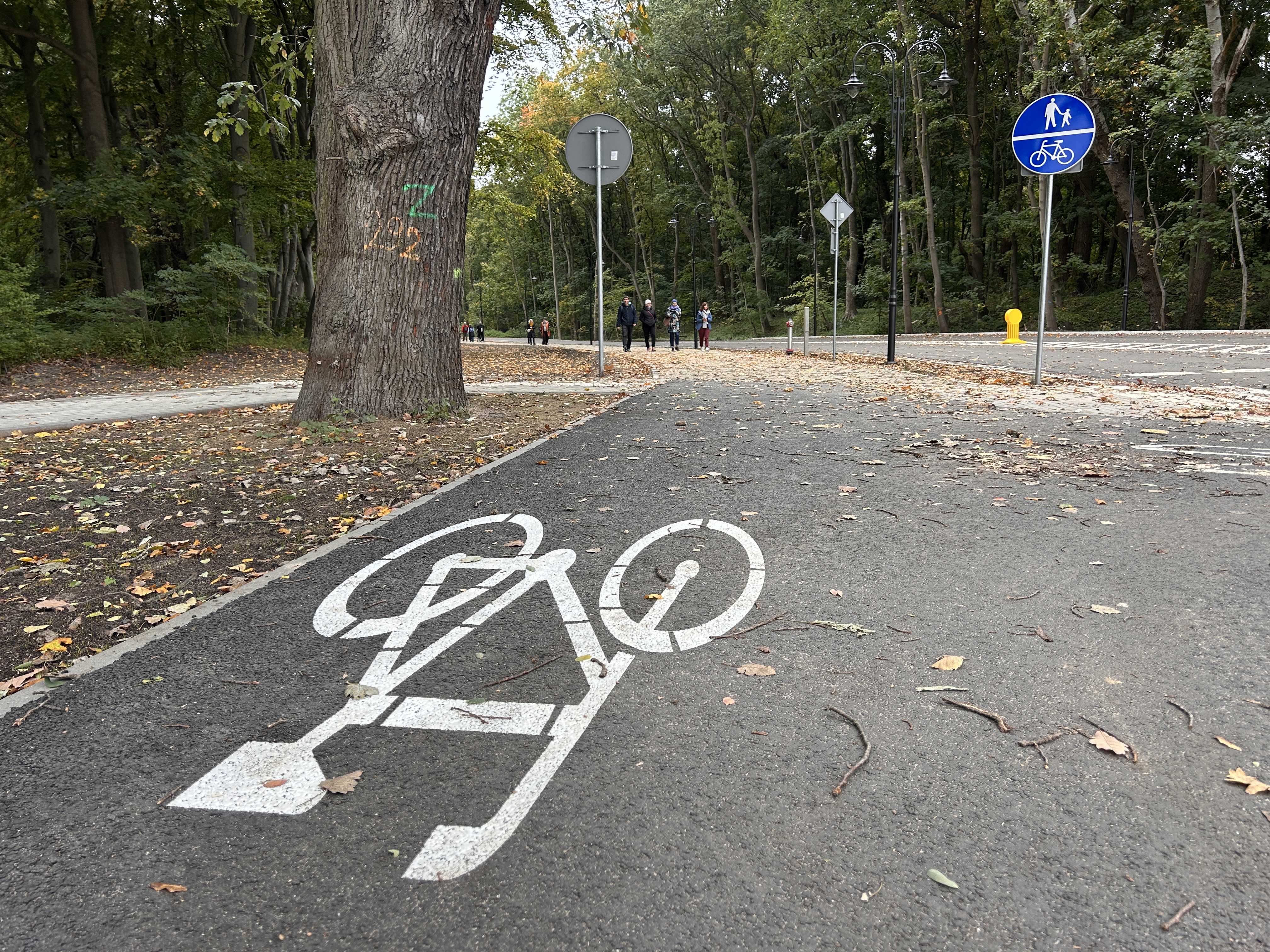 Nowa ulica prawie gotowa. O jej nazwie zdecydują mieszkańcy