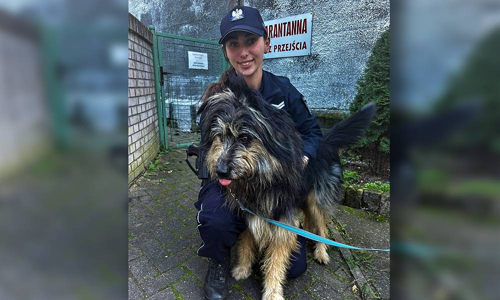 „O psie, który jechał pociągiem do Świnoujścia” — historia z happy endem