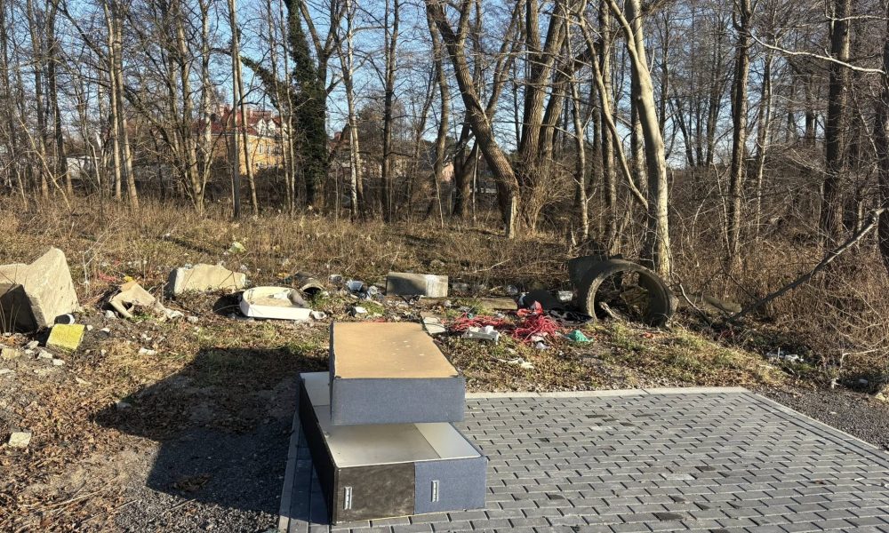 Śmieci w lesie zamiast do PSZOK-u. Problem wraca jak bumerang