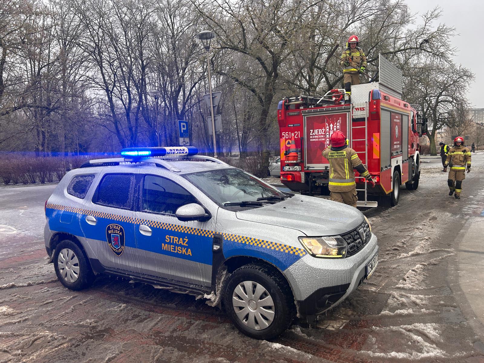Śliskie chodniki, sople – dbajmy o bezpieczeństwo w swojej okolicy