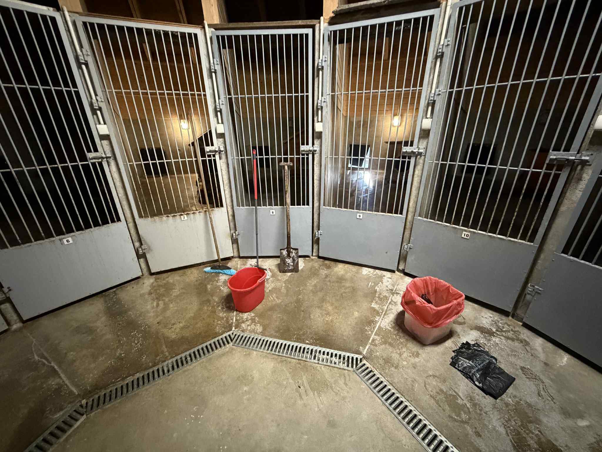 Nowy operator schroniska, ta sama misja. Pod opieką 140 kotów i 9 psów