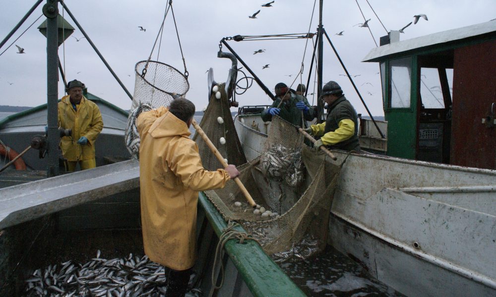 „Życie na morzu”. Wernisaż wystawy fotografii Andrzeja Andrzejczaka w Muzeum Rybołówstwa Morskiego 