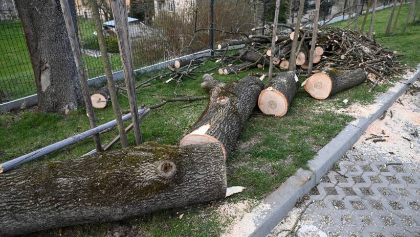 47 interwencji strażaków przy wiatrołomach; 40 pożarów traw