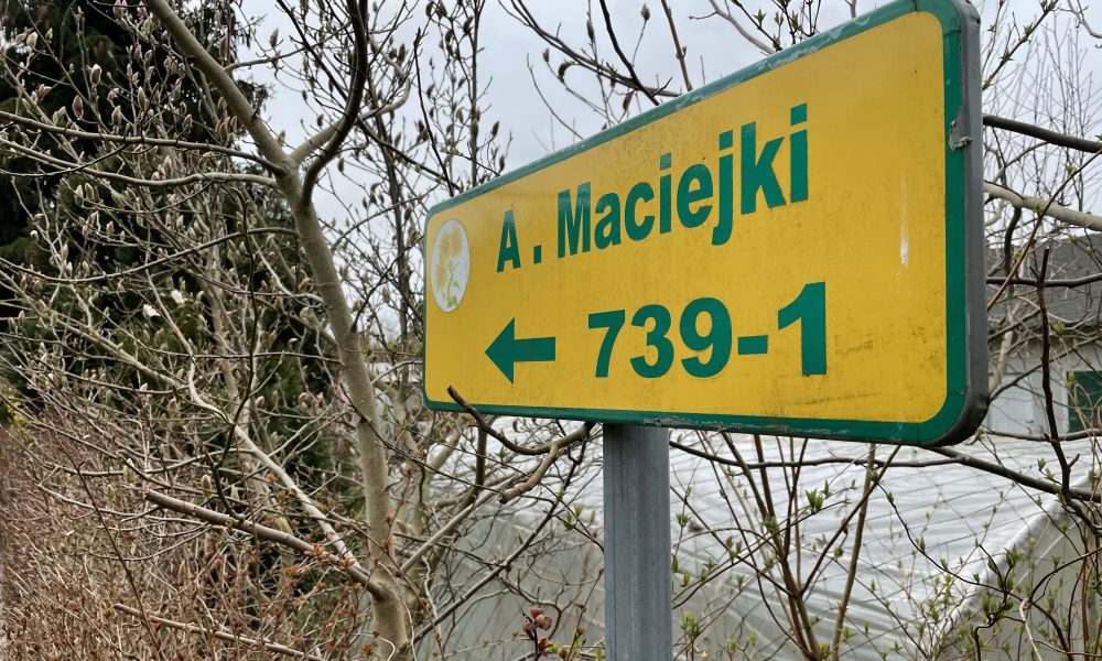 Działkowcy nauczą się, jak wykorzystać sztuczną inteligencję w ogrodzie