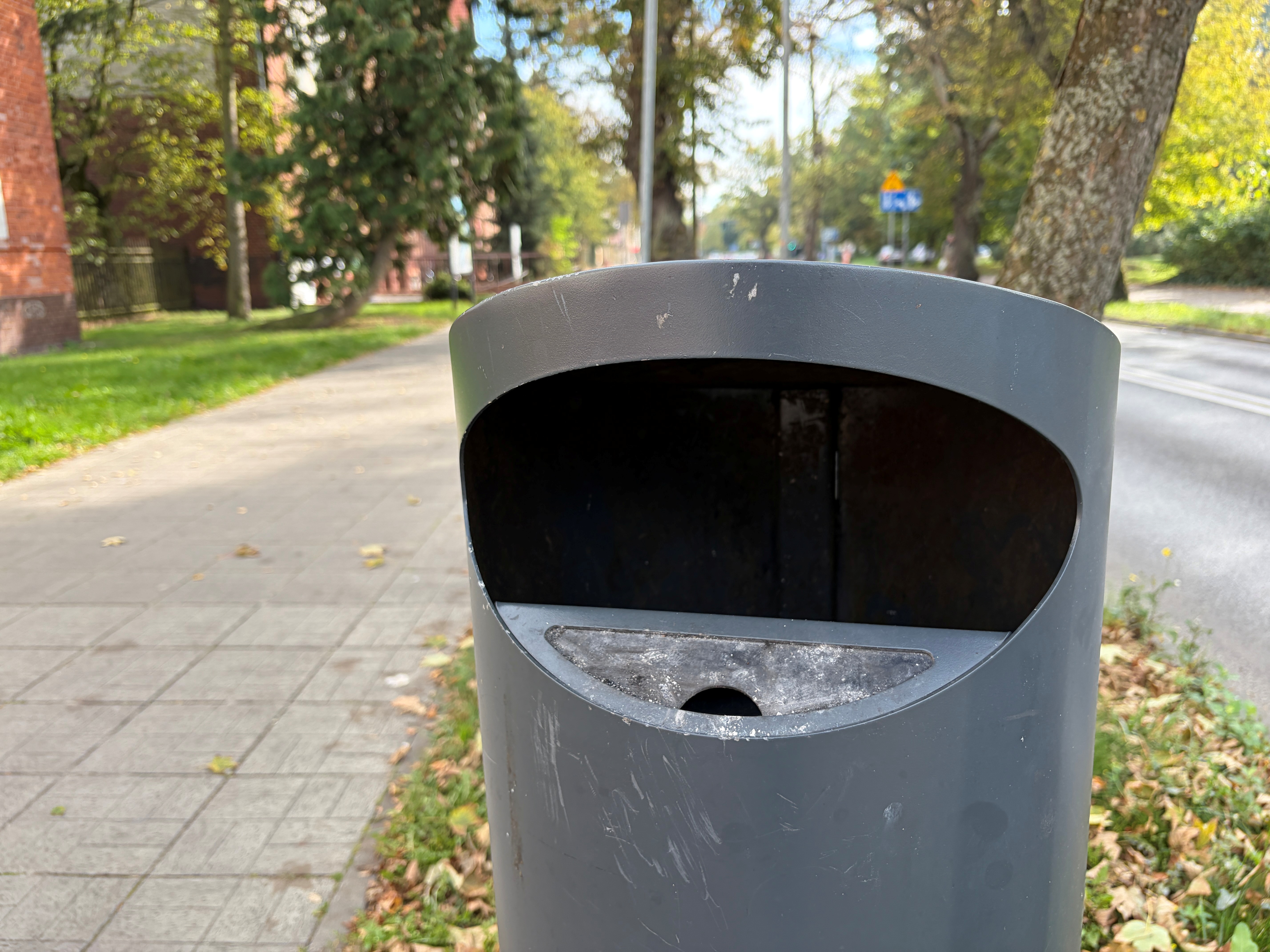 Miejskie kosze – jak działa system i ile kosztuje?